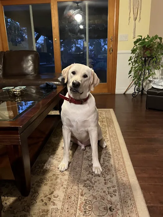 Monterey Park Animal Hospital 5