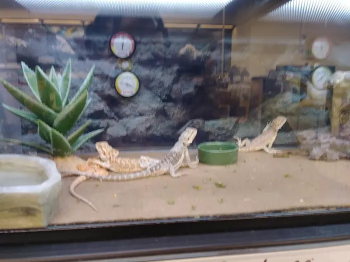 Petco 12