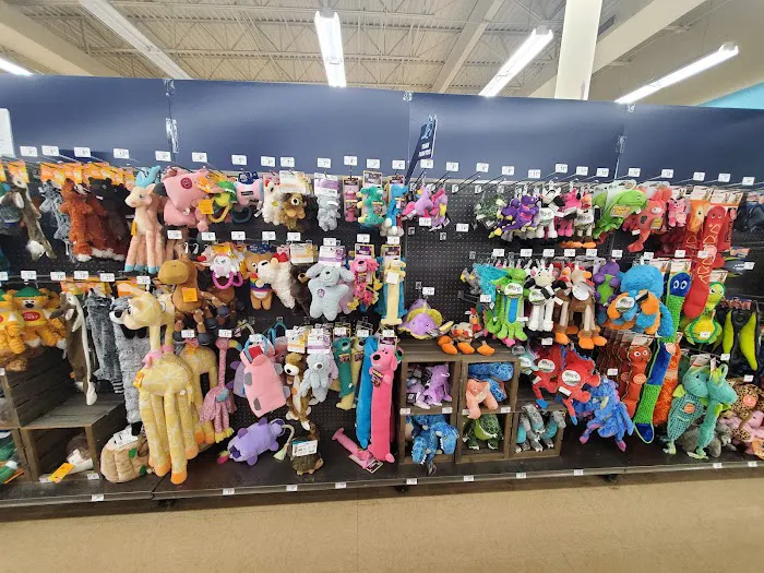 Petco 12
