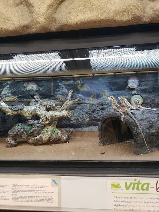 Petco 12