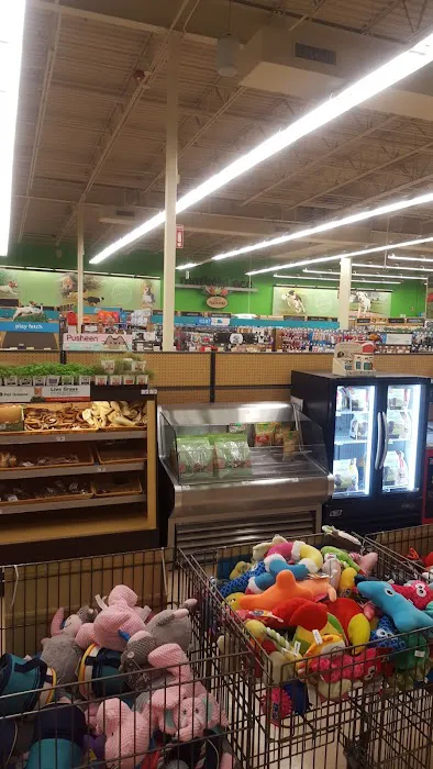 Petco 12