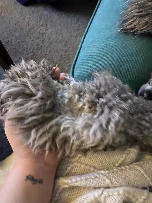 Petco 12