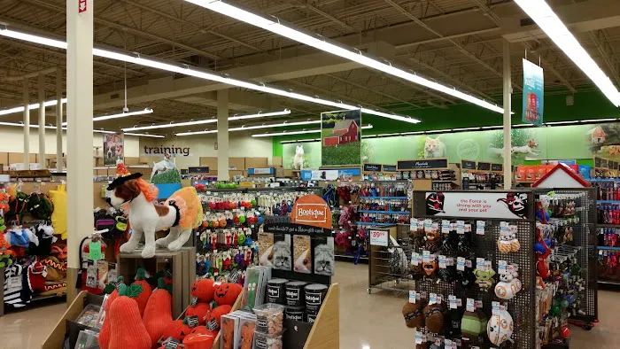 Petco 12