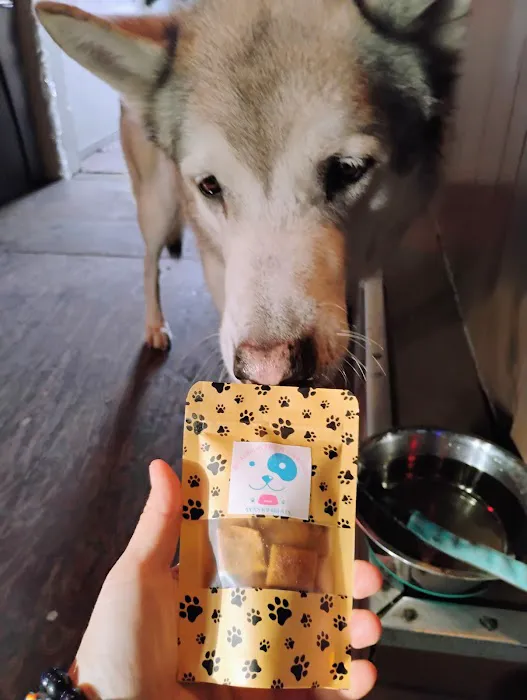 Ava's K9 Treats - Healthy dog treats supporting rescue initiatives! 12
