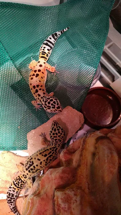 Petco 12