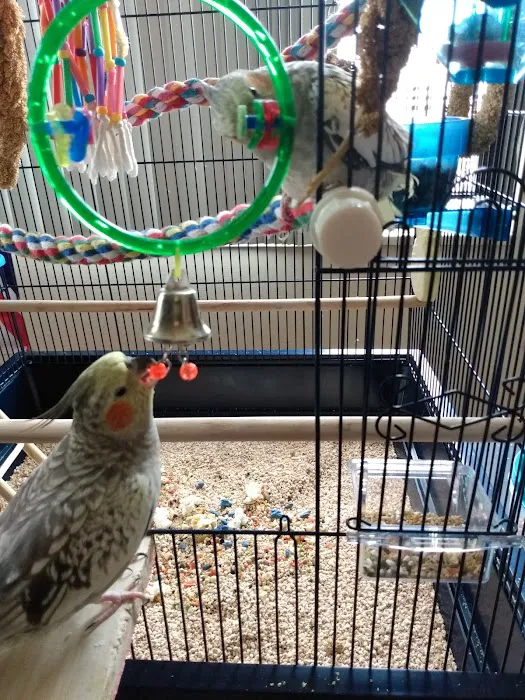 Petco 12