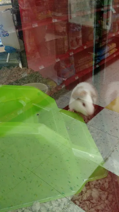 Petco 12