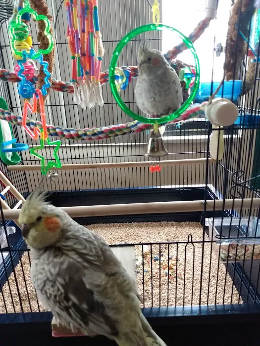 Petco 12