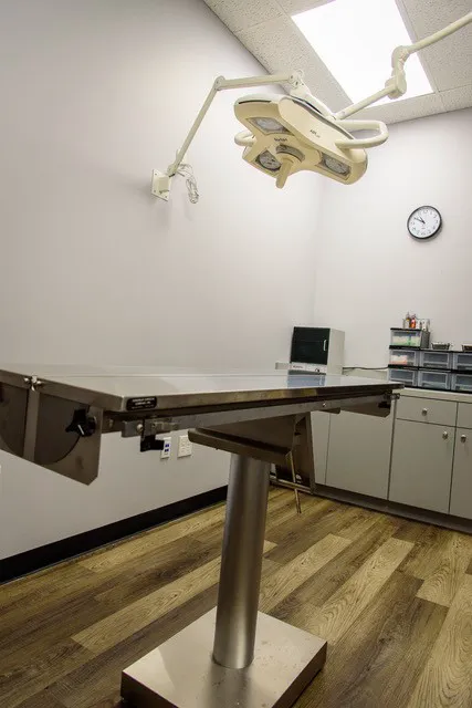 Leave No Paws Behind Veterinary Clinic 12