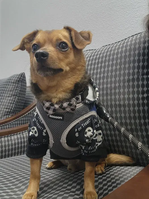 Leave No Paws Behind Veterinary Clinic 12
