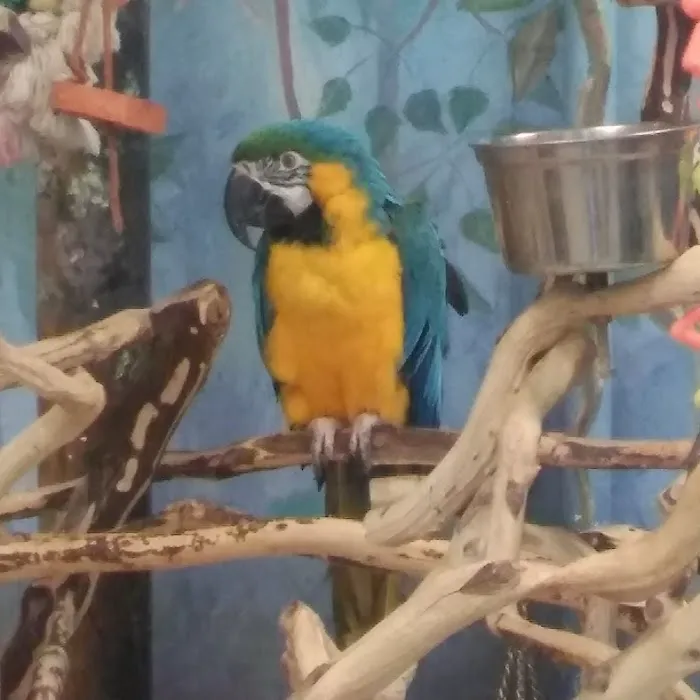 Pet World 12