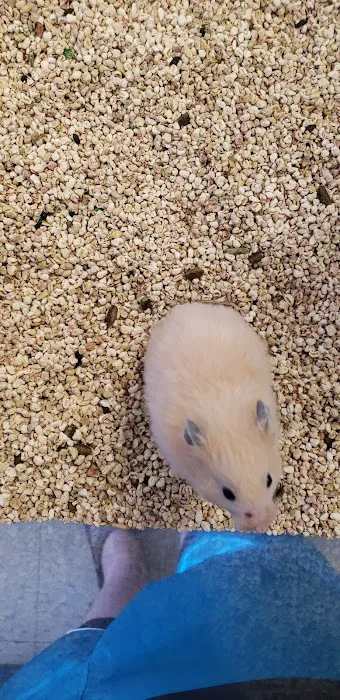 Pet World 12