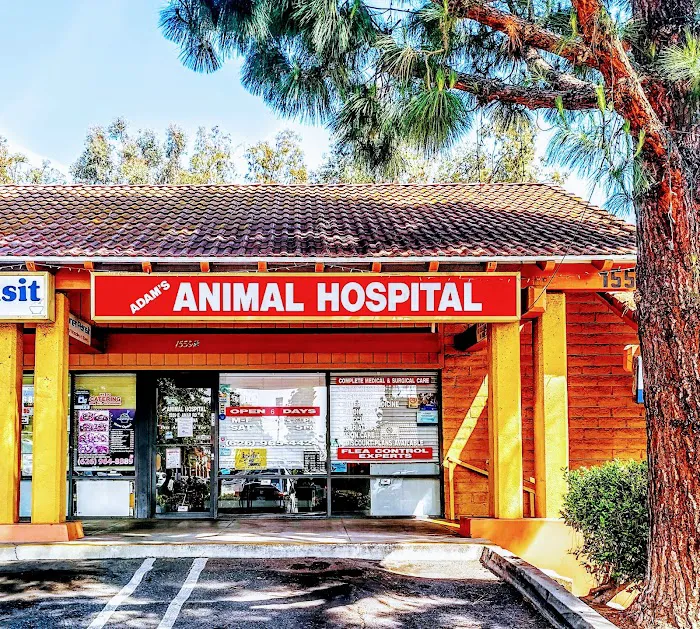 Adams Animal Hospital 12