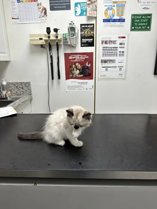 Adams Animal Hospital 12