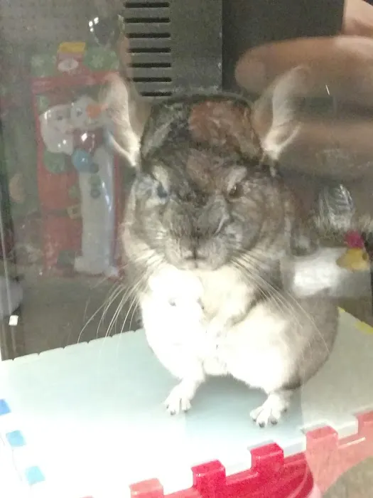 Banfield Pet Hospital 12