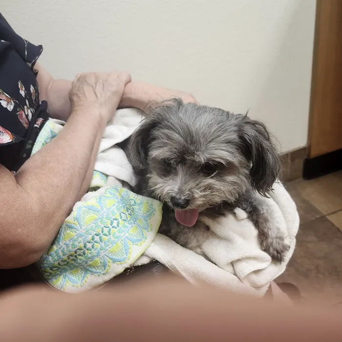 Banfield Pet Hospital 12