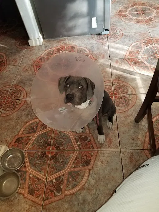 Banfield Pet Hospital 12