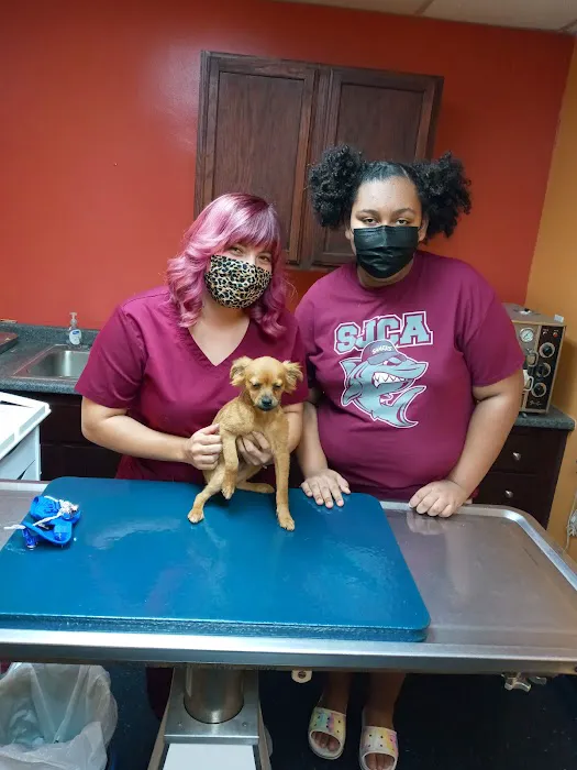 Vine Animal Clinic 12