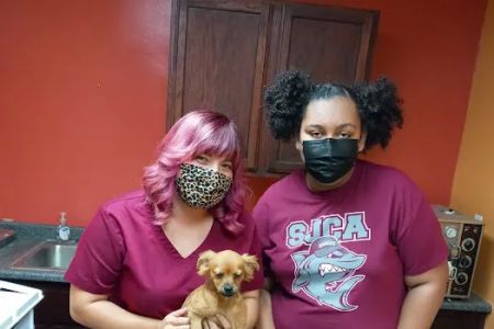 Vine Animal Clinic