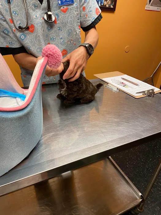 Vine Animal Clinic 12