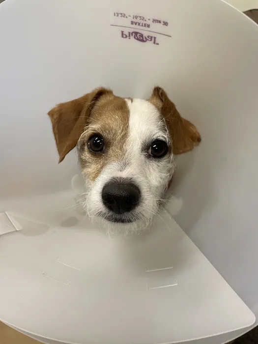 Tender Loving Care Animal Hospital 12