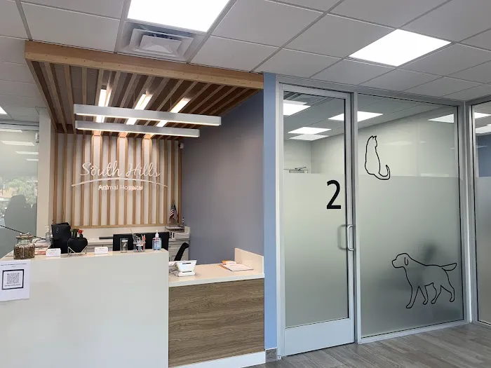 South Hills Animal Hospital 12