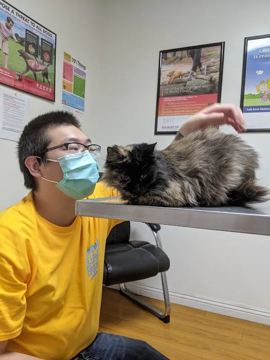 South Hills Animal Hospital 12