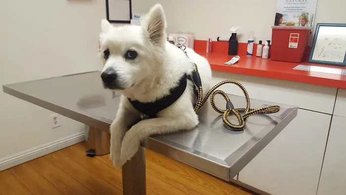 South Hills Animal Hospital 12