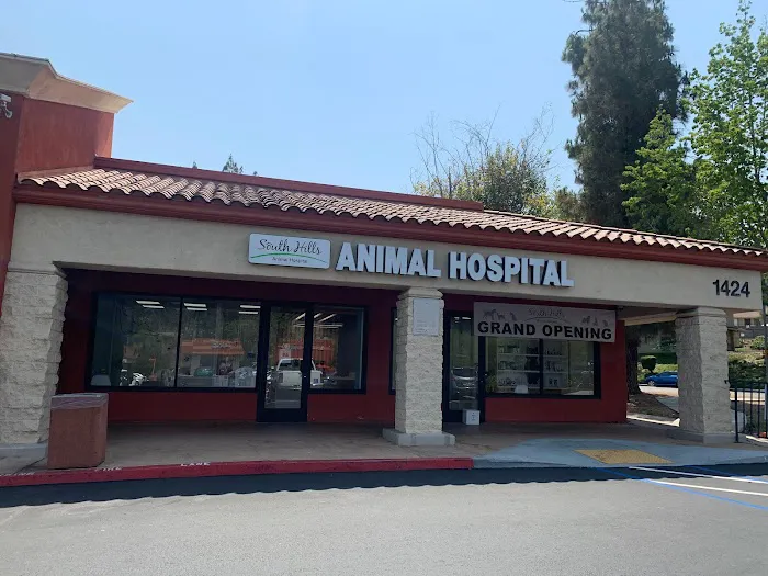 South Hills Animal Hospital 12