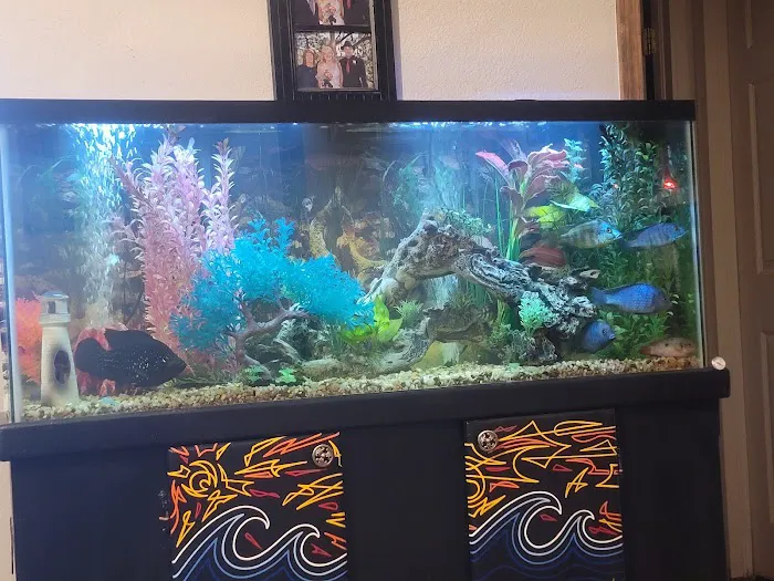 Golden Fish Aquariums 12