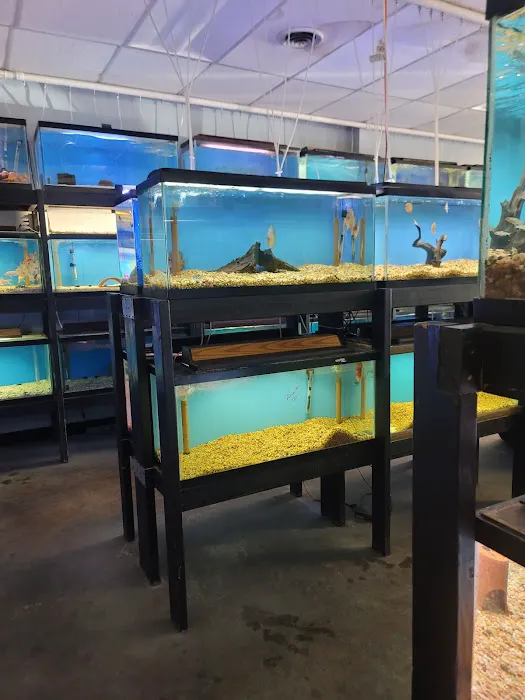 Golden Fish Aquariums 12