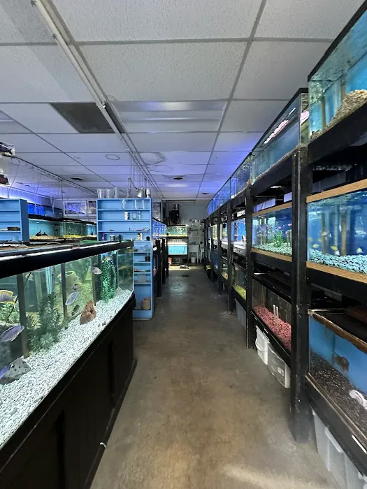 Golden Fish Aquariums 12