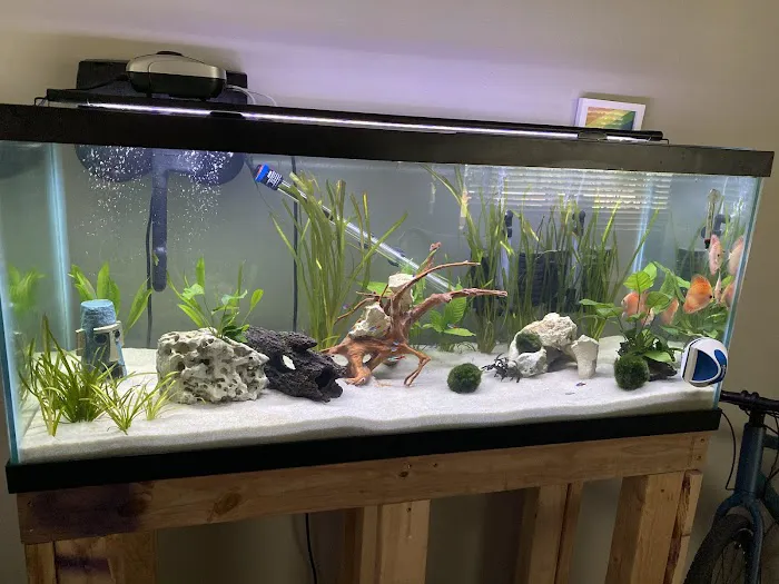 Golden Fish Aquariums 12