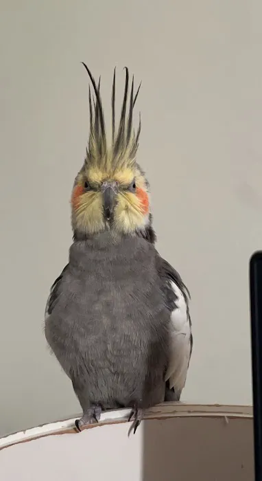 World Of Birds 12