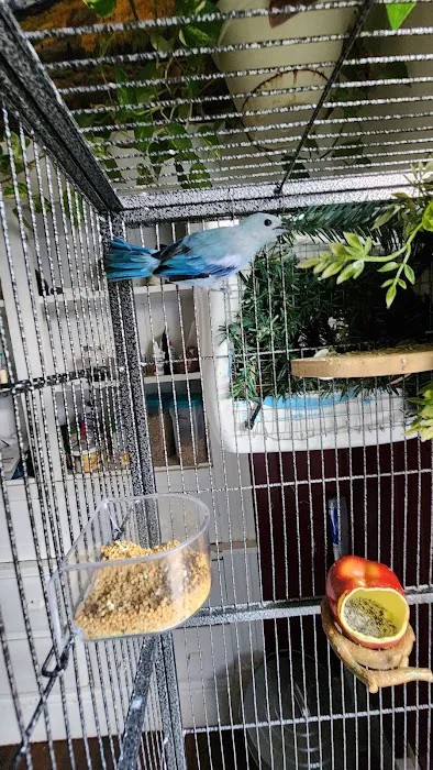 World Of Birds 12