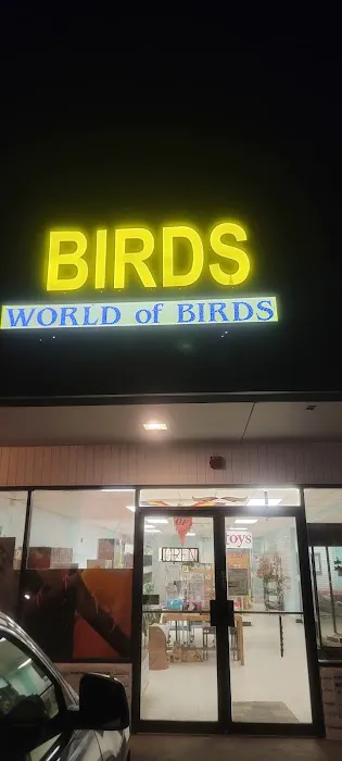 World Of Birds 12