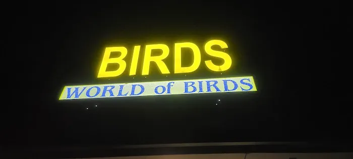 World Of Birds 12