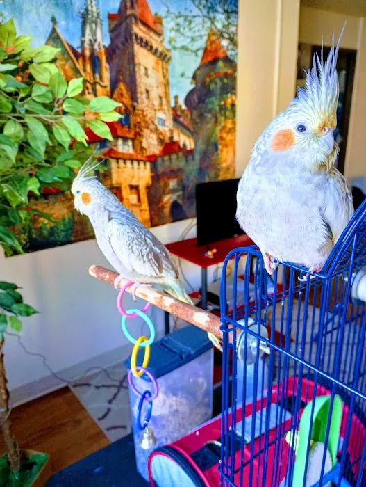 World Of Birds 12