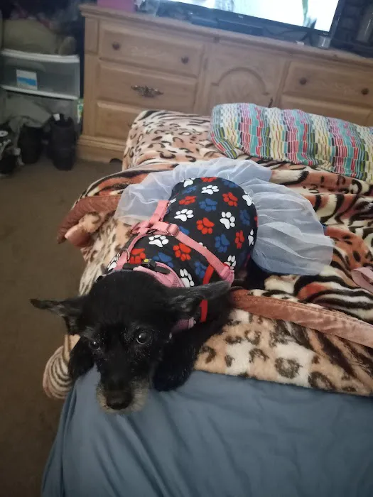 Walnut Valley Animal Hospital 7