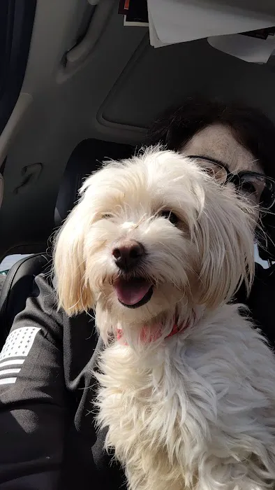 Walnut Valley Animal Hospital 6