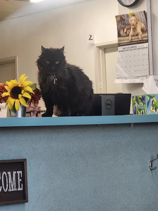 Walnut Valley Animal Hospital 9