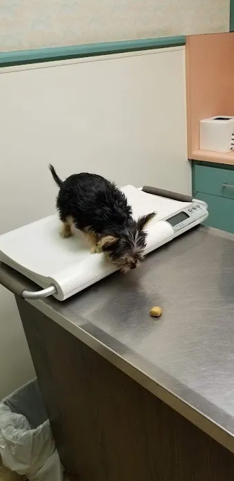 Walnut Valley Animal Hospital 5