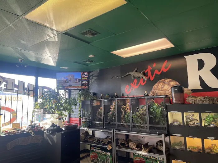 Scales N Tails Lakewood 12