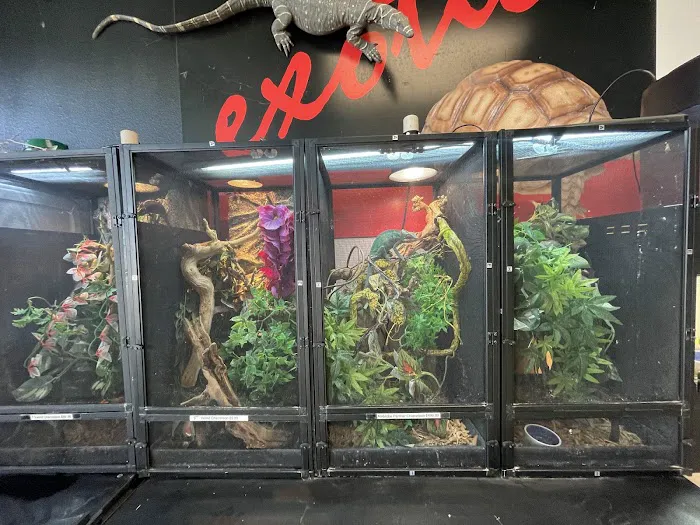 Scales N Tails Lakewood 12