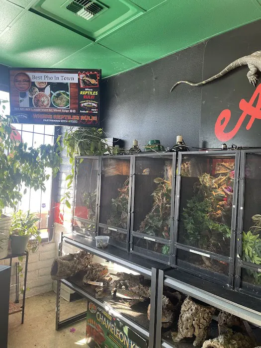 Scales N Tails Lakewood 12