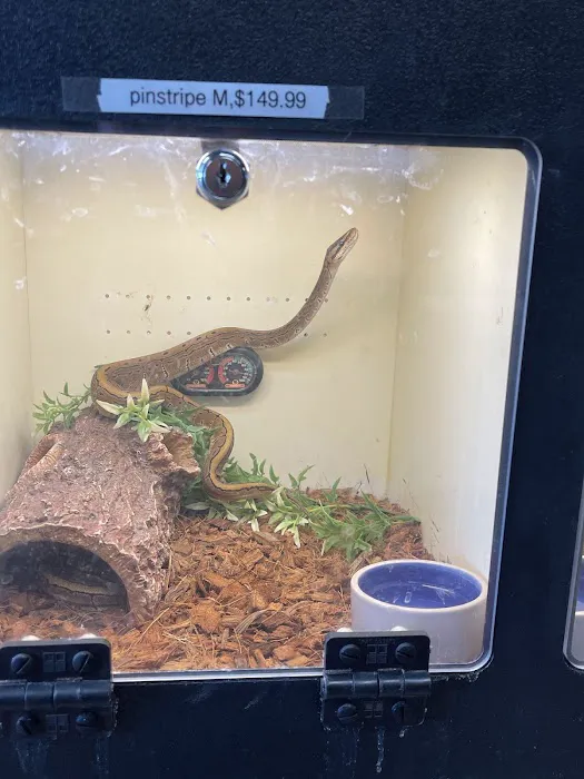 Scales N Tails Lakewood 12