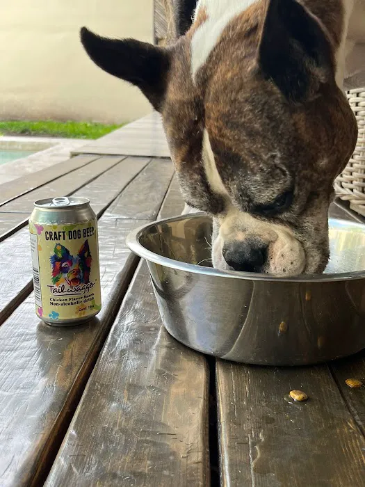 Tailwagger LLC 12