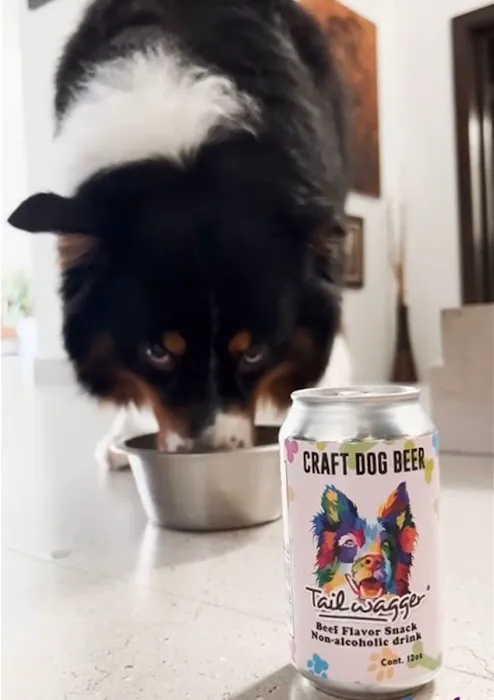 Tailwagger LLC 12