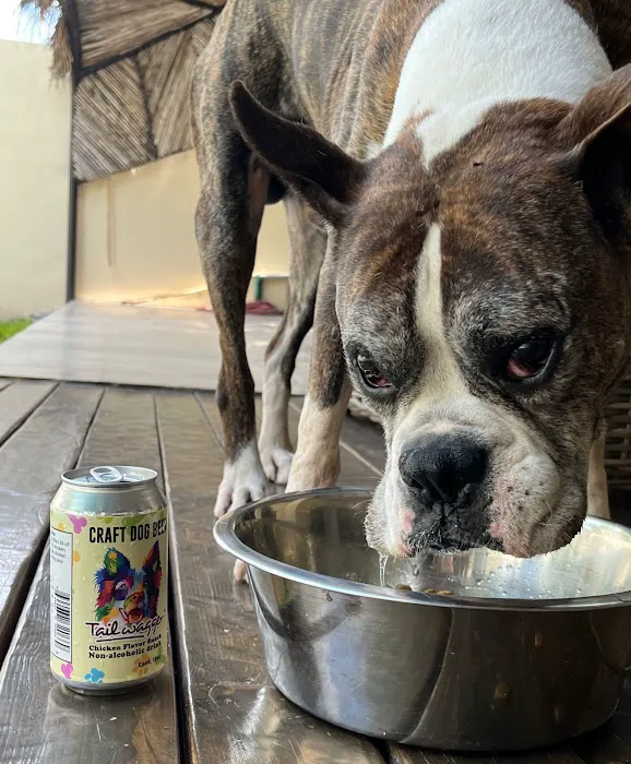 Tailwagger LLC 12