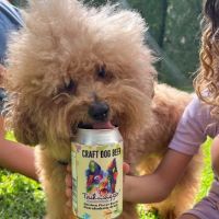 Tailwagger LLC ico